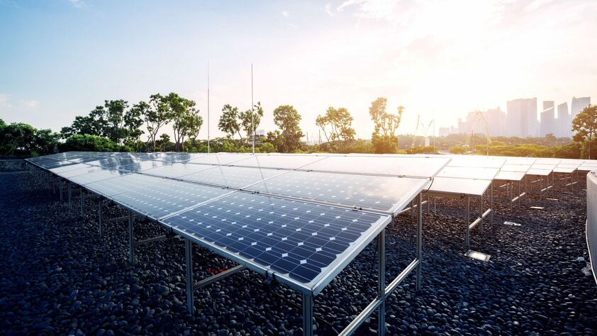 Learn how you can reduce your carbon footprint with solar panels and contribute to Singapore's sustainable future 